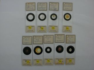 Set Of 9 Vintage Microscope Slides.  Botany.  By Lister And Pointon