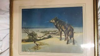 Vtg Antique Art Picture The Lone Wolf Wood Framed Wall Hanging Old Decor Nature
