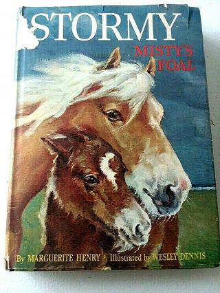 Vintage Young Adult Book " Stormy,  Misty 