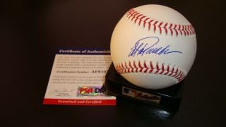 Jorge Posada York Yankees Omlbaseball Autograph Auto Psa/dna Authenticated