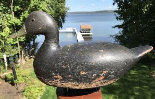 Vintage Hollow Carved Ontario Black Duck Decoy Old Paint Great Form