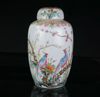 Fine Antique Chinese Famille Rose Porcelain Flower & Pheasant Vase & Lid 19th C