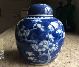 Chinese Antique Porcelain Ginger Jar Blue White Kangxi Double Circle 2