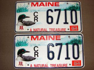 Pair 1994 Maine Loon License Plates No.  6710