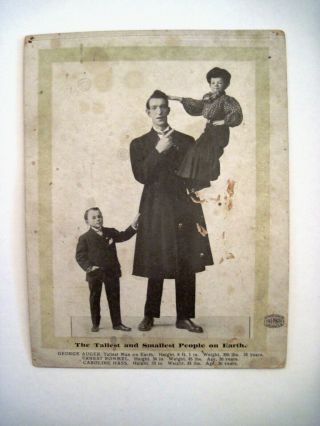 Fantastic Vintage Picture Of George Auger Tallest Man - 8 Ft.  1 In.  (1881 - 1922)