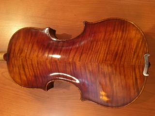 Old Antique Carl Bergonzi 4/4 Size Violin With Case