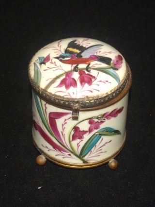 Antique Hand Painted Porcelain French? Bird Decorated Powder Jar Trinket Box
