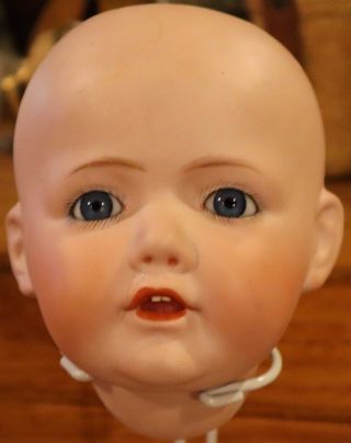 Vintage 245 5 1/2 " German Bisque Kestner Hilda Doll Head