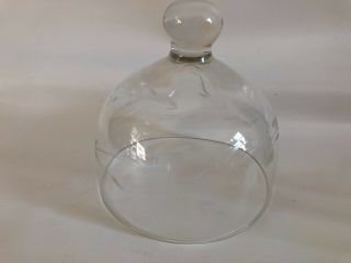 Small Etched Glass Cloche Dome Display Diorama Plant Terrarium Apothecary