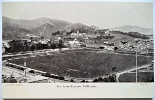 Wellington,  Basin Reserve Cricket Ground View C.  1905 Vintage Postcard