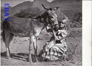 Brigitte Bardot W/a Donkey Vintage Photo