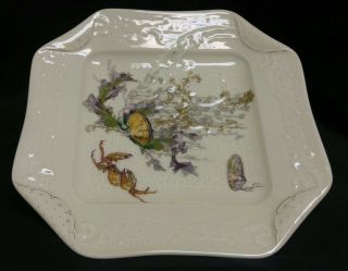 Vintage Haviland Limoges France Floral Oyster Plate With Gold Trim 8 1/2 "