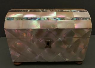 Antique Mother Of Pearl And Abalone Tea Caddy C.  1840 -