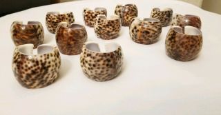 Set Of 12 Vtg Tiger Cowrie Sea Shell Napkin Rings Spotted Leopard Nautical Beach