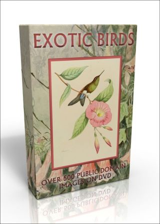 Exotic Birds - Over 530 Public Domain Images On Dvd
