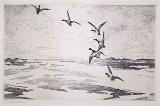 Frank Benson Pencil Signed Etching Ducks Flying Over Wide Marshes 1920