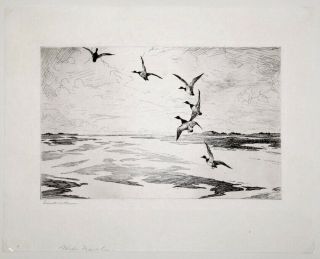 Frank Benson Pencil Signed Etching Ducks Flying Over Wide Marshes 1920 2