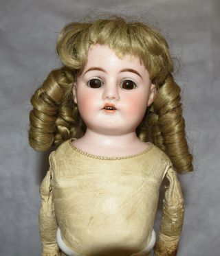Antique Bisque Head Doll 19 " Kid Leather Germany Heubach Ringlets Shoes