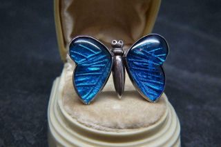 Fine Antique Edwardian Art Deco Silver & Butterfly Wing Effect Brooch/pin Af