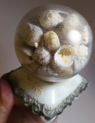 Vintage Antique Victorian Sea Shell Art Seashells Milk Glass Paperweight Globe