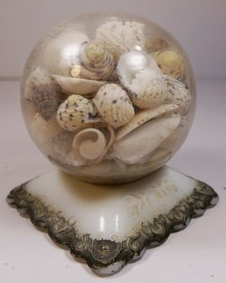 Vintage Antique Victorian Sea Shell Art Seashells Milk Glass Paperweight Globe 3