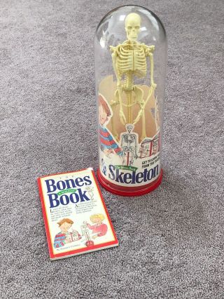 Vintage 1991 - The Bones Book & Skeleton