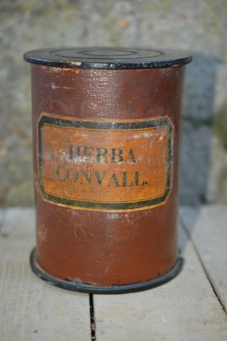 Antique Wood Cardboard Pharmacy Apothecary Jar /herb.  Convall.  / Convallaria