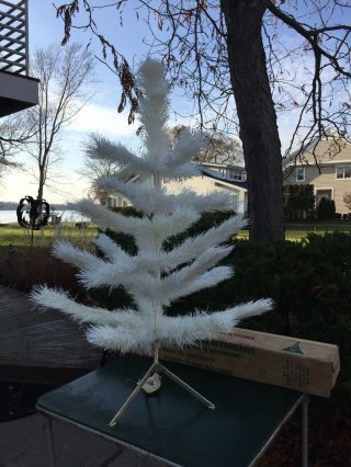 VINTAGE MID CENTURY 1960 ' s 4 - 1/2 ft WHITE CANADIAN FIR CHRISTMAS TREE ORIG BOX 3