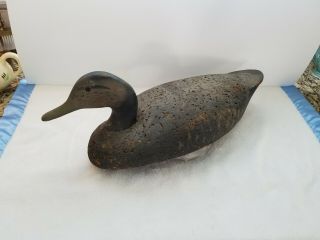 Vintage Cork Duck Decoy With Glass Eyes