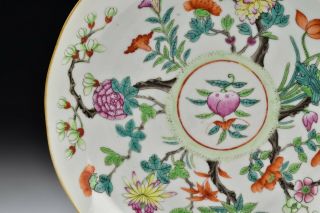 Chinese Export Qianlong Period Famille Rose Plate with Flowers and Peach 3