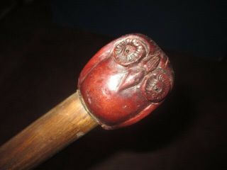 Mw.  995m: Vintage Hand Carved Boxwood Owl & Ash Wood Shaft Walking Stick Cane