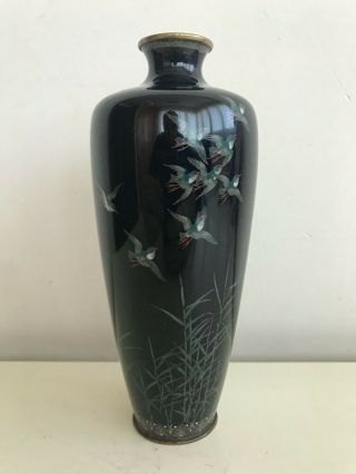 Antique Japanese Meiji Period Cloisonne Enameled Birds Vase Black 18,  5 Cm.  Rare