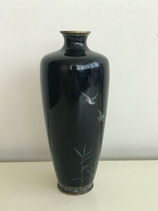 Antique Japanese Meiji Period Cloisonne Enameled Birds Vase Black 18,  5 cm.  RARE 3