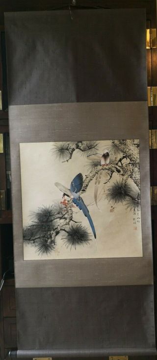 Chinese Watercolor Painting Scroll - Birds On Pine Tree Very Detailed