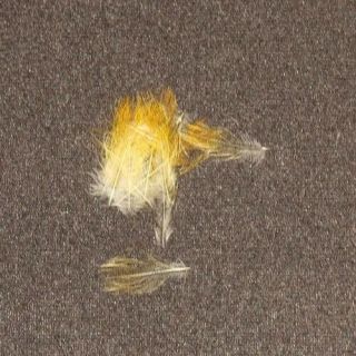 Salmon Fly Tying Feathers - 16 Ariel Toucan Feathers - Vintage - Antique