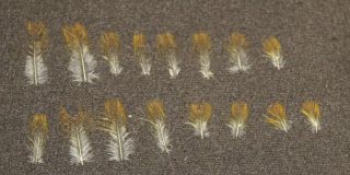 Salmon Fly Tying Feathers - 16 Ariel Toucan Feathers - Vintage - Antique 2