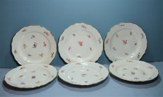 6 Antique Meissen Porcelain Hand Painted Scattered Flowers 9 3/4 " Dinner Plates