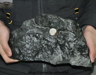 12 " Antiques Rare Nickel Iron Meteorite Iron Muonionalusta Natural Formed