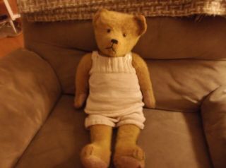 Antique Old Bright Gold Mohair Teddy Bear 20 " Excelsior Stuffed With Growler