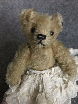Early Rare Antique Circa 1910 Steiff Miniature Teddy Bear 5” Ff Button Buy Now