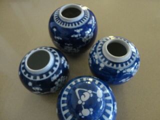 Four Vintage Prunus Jars One Lidded (all With Base Blue Circles) One Large