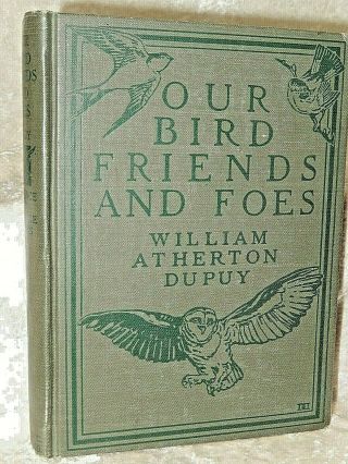 Vtg Our Bird Friends And Foes Romance Of Science 1925 By William Atherton Dupy