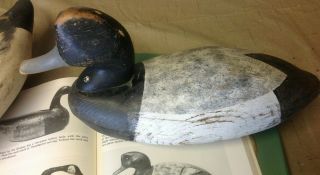 Vintage Bluebill / Lesser Scaup Decoy Hunted Wood Duck (ira Hudson - Like Head)