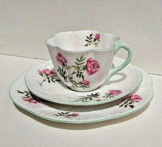 Vintage Shelley Cup,  Saucer And Cake Plate (x2383) Trio Dainty Shape Lovely Item