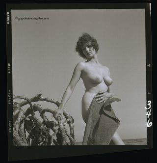 Fine Bunny Yeager 1960 Pin - Up Camera Negative Nude Lacey Kelly Seaside 2