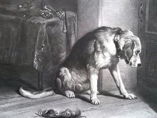 Dog English Mastiff In Suspense By Landseer - 1875 Antique Print