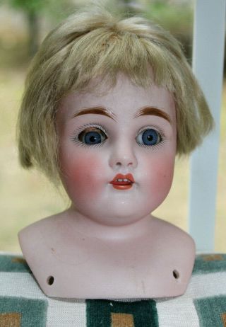 Kestner 154 Head Bisque Doll - Kid Leather Body Germany 16 