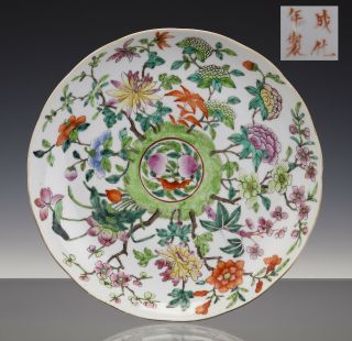 Perfect Chinese Porcelain Colored Plate 19th C.  Chenghua Mark - 23cm -