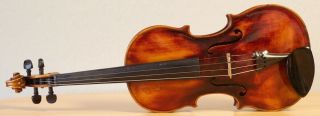 Very Old Labelled Vintage Violin " Gaetano Gadda " Fiddle 小提琴 ヴァイオリン Geige