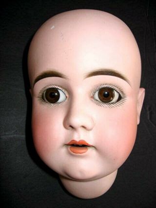 Antique Bisque Doll Head Kestner Marked M Germany 16